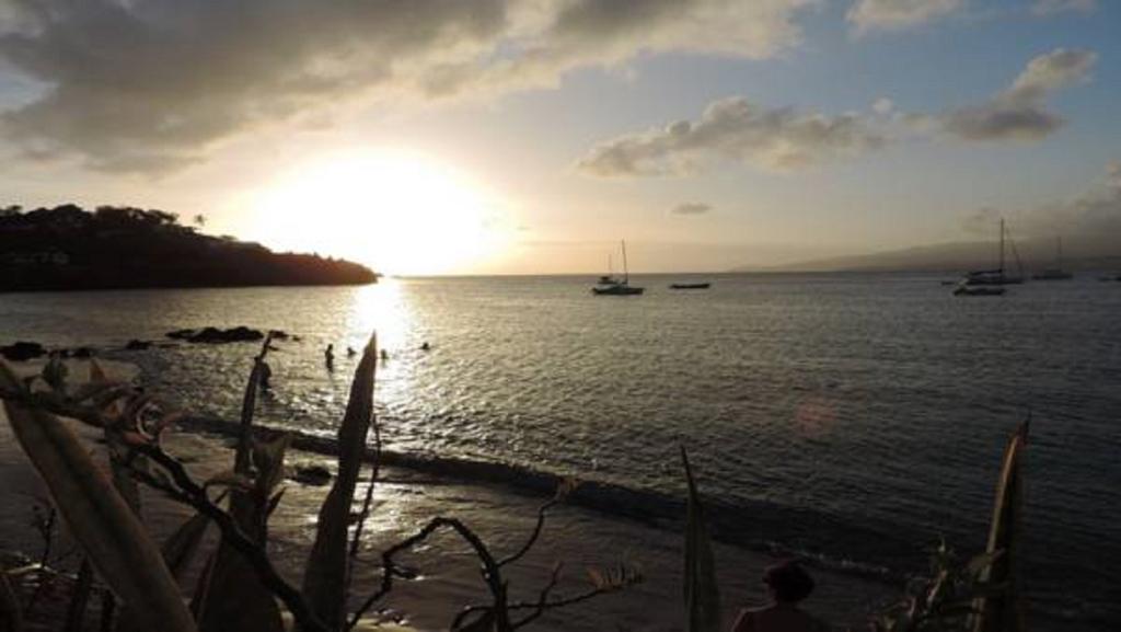 Ocean Bayalocation Apartment L'Anse Mitan ภายนอก รูปภาพ